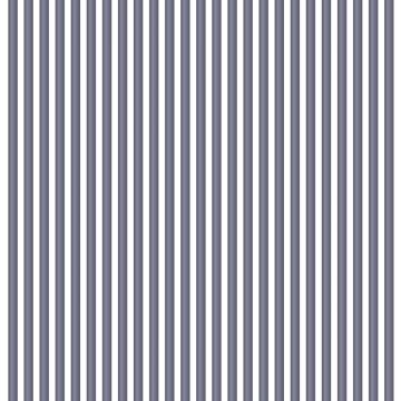 Kunststof draadgordijn Hilo antraciet 